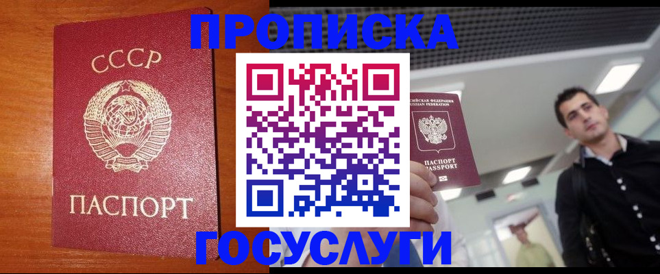 регистрация в Судогде